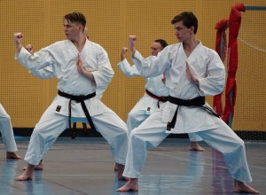 akita shihan mandurah (25)