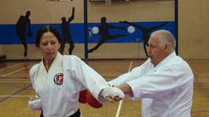 Karate 2015 Dec Dennis (2)